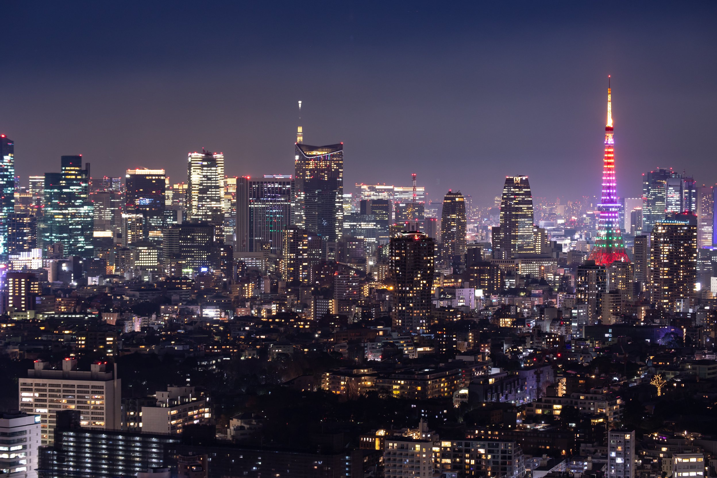 Beautiful night view in Tokyo